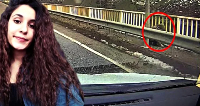 Gülistan Doku soruşturması: Gözaltına alınanlar kim?